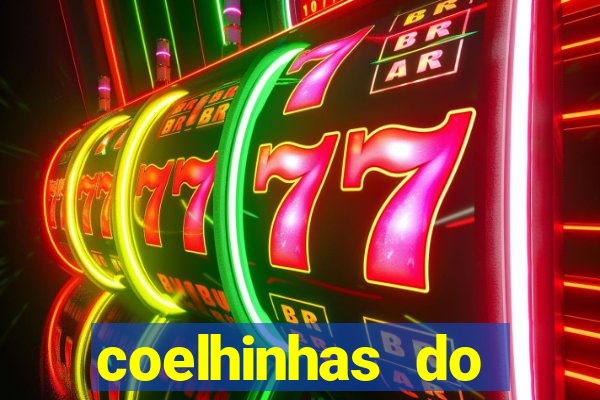 coelhinhas do brasil recife